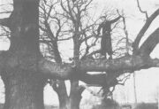 Abb. 61