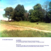 Friedhof 2005