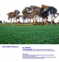 Friedhof 2006